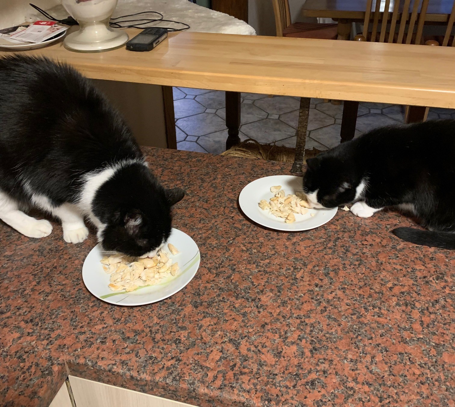 Puschel und Pauli.jpg